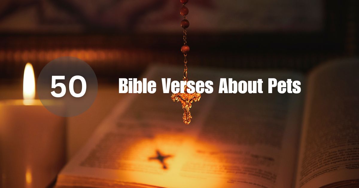 Bible Verses About Pets