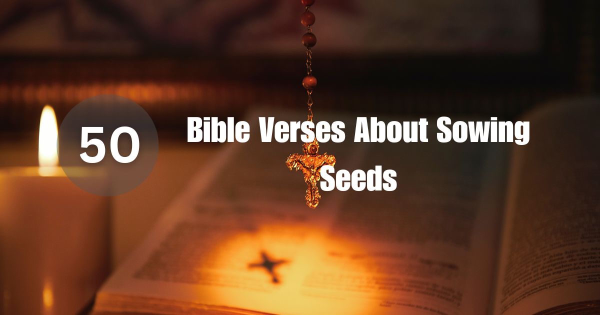 Bible Verses About Sowing Seeds