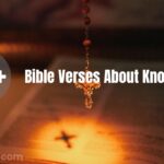 Bible Verses About Knowledge